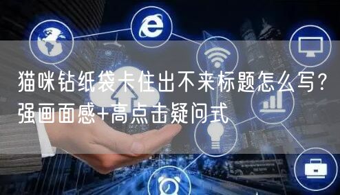 猫咪钻纸袋卡住出不来标题怎么写?强画面感+高点击疑问式