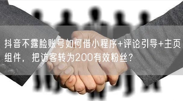 抖音不露脸账号如何借小程序+评论引导+主页组件,把访客转为200有效粉丝?