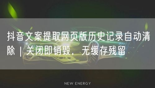 抖音文案提取网页版历史记录自动清除|关闭即销毁,无缓存残留