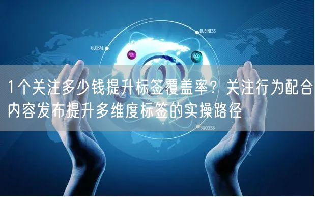1个关注多少钱提升标签覆盖率?关注行为配合内容发布提升多维度标签的实操路径