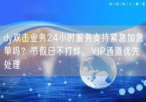 dy双击业务24小时服务支持紧急加急单吗？节假日不打烊，VIP通道优先处理